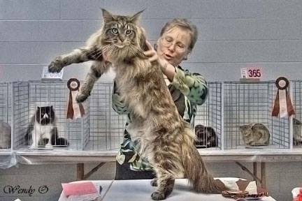 Vickie Fisher and Maine Coon